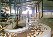 nhấp v�o