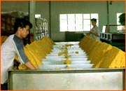 nhấp v�o